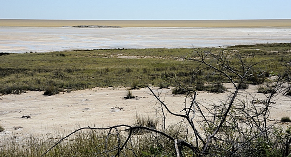 In der Etosha Pfanne.